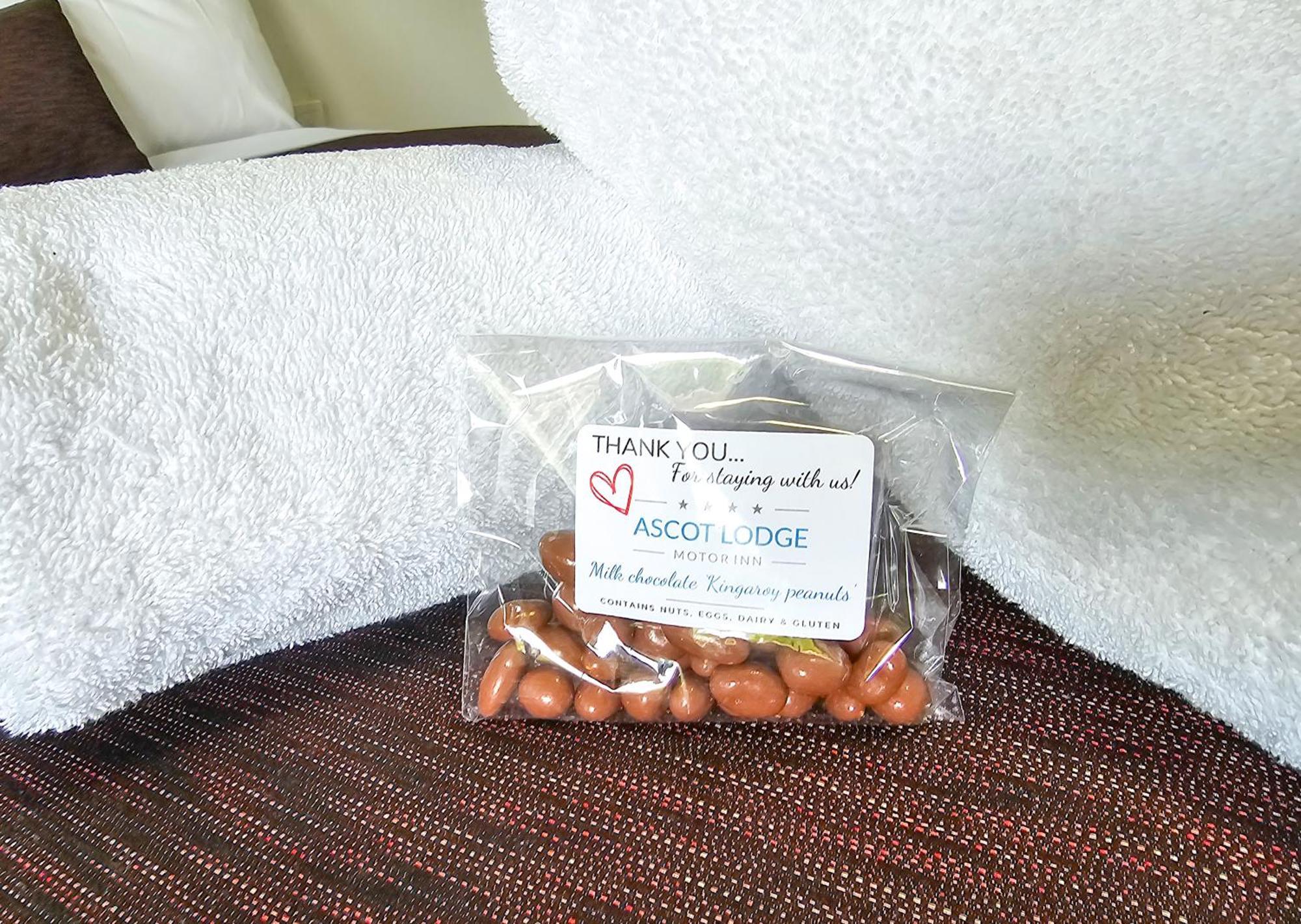 קינגארוי Ascot Lodge Motor Inn מראה חיצוני תמונה
